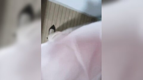 痴迷姐弟恋姐姐的小飞棍】新作，尤物姐姐化身绝美护士