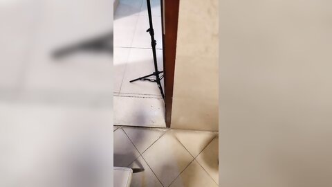 贱婊子性奴母狗你的反差女友露脸让小哥哥疯狂调教