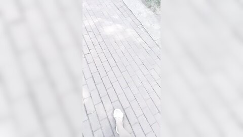 高颜值极品Jk美少女B塞跳蛋 在公园人前自慰