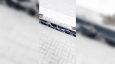 高颜值极品Jk美少女B塞跳蛋 在公园人前自慰