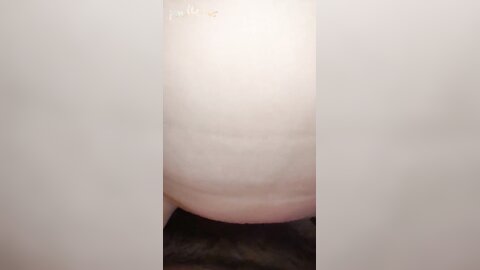 Hot Busty Asian Girl Next Door Gets Cream Pie สาวไทย นมใหญ่ โดนกระเด้า
