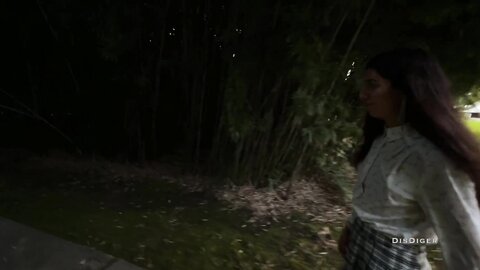 Disdiger  Videos  91