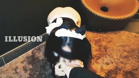 w1RK3r5ZS VeMtNN
