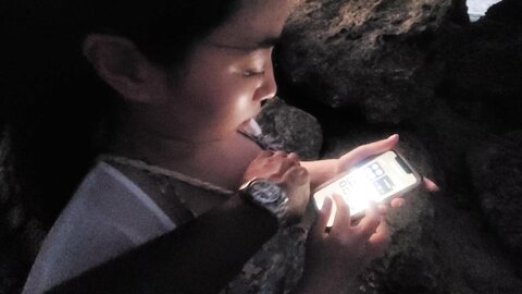 0h0tx5a1cstgukdi513se source