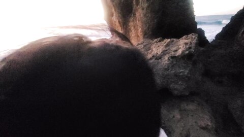 0h0tx5a1cstgukdi513se source