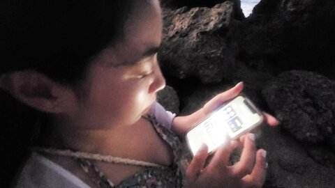 0h0tx5a1cstgukdi513se source