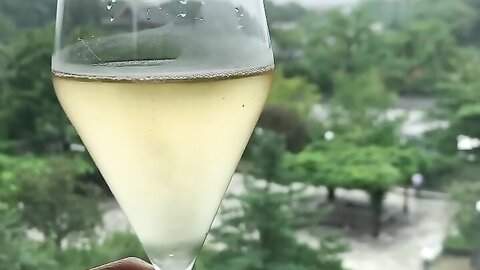 20-08-09 CDqDF4vhQsi p2