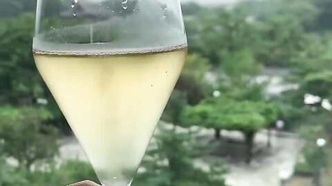 20-08-09 CDqDF4vhQsi p2