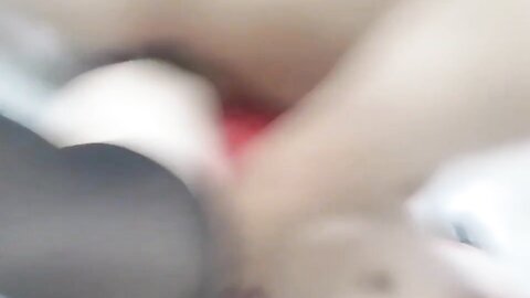 tweet 20190223 081244