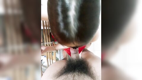 tweet 20190223 081600