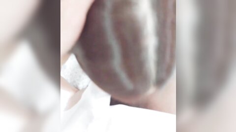 tweet 20190223 082051