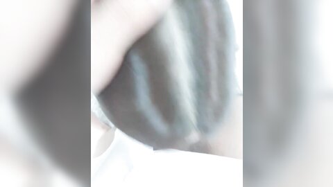 tweet 20190223 082051