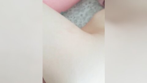 tweet 20190223 082215
