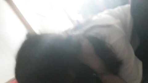 tweet 20190223 082252