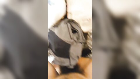 tweet 20190223 082357