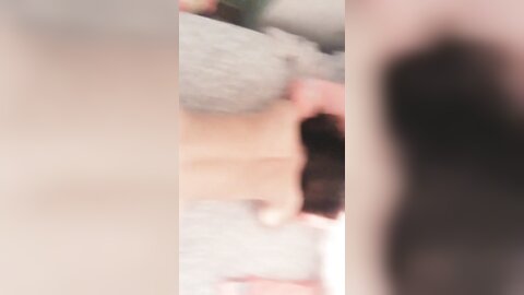 tweet 20190223 082657