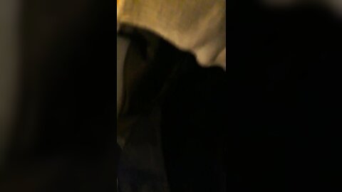 tweet 20190223 082807