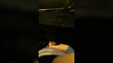 tweet 20190223 082807