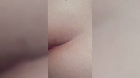 tweet 20190223 083820