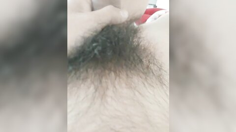 tweet 20190223 193347