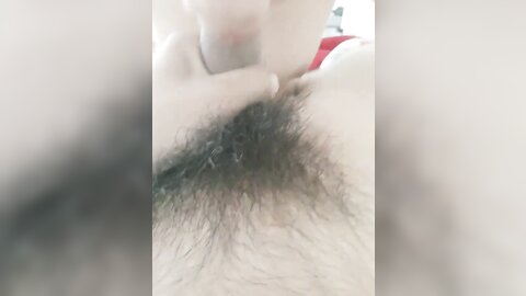 tweet 20190223 193347