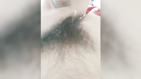 tweet 20190223 193347