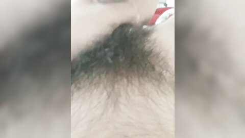 tweet 20190223 193347