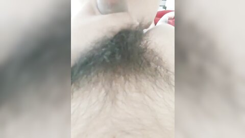 tweet 20190223 193347