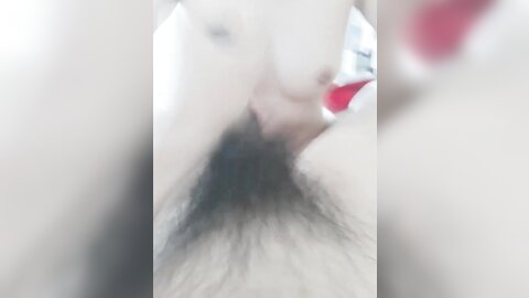 tweet 20190223 193347