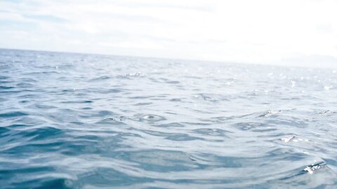 Sex Vlog In Taiwan Pingtung