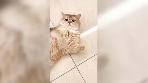 ????????