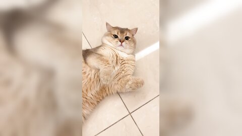 ????????