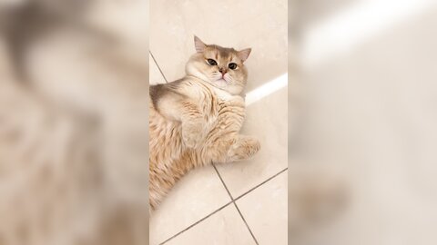 ????????