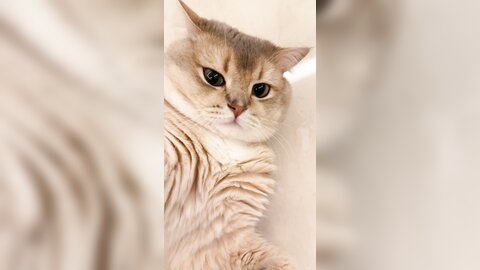 ????????