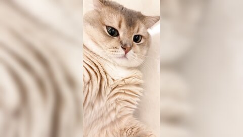 ????????