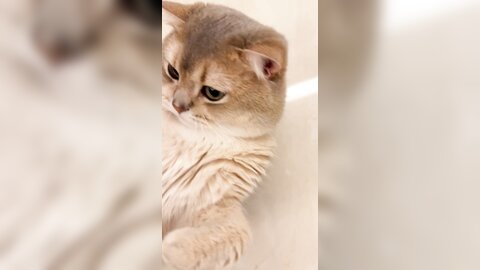????????