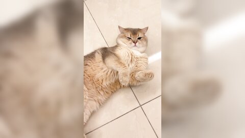 ????????