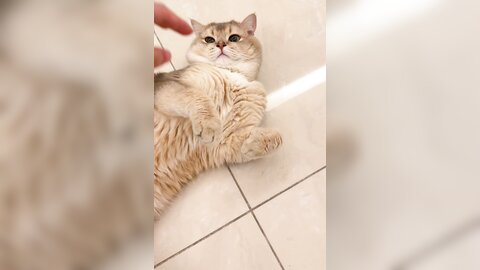 ????????