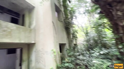 Disdiger  I Took My Stepsister To Abandoned House With Bats And Fucked Her With A View Of The Sea