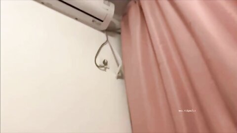 八块腹肌眼镜男疯狂冲刺双马尾嫩妹