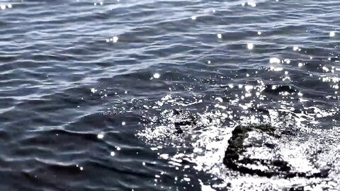 对话精彩，喜欢抽麻的嘻哈范大神Dudu收费私拍2部 2