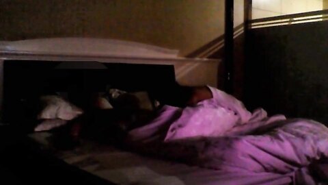 白丝水手服双马尾清纯女高嫩妹✅刚放暑假就被金主爸爸带到酒店啪啪