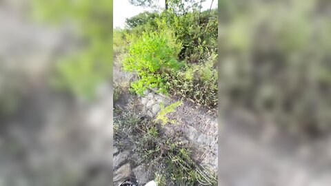 超顶❤️通奸乱伦】会喷水的亲姐姐
