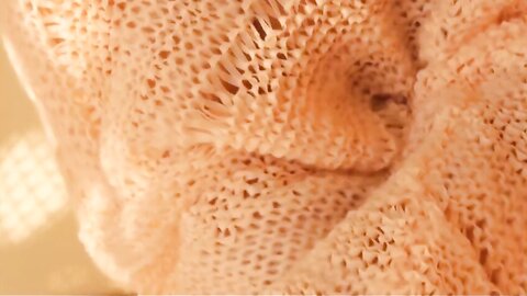 MIST-1004 2 Ayaka Noda 野田彩加 Ayaka no onegai. 彩加のお願い。