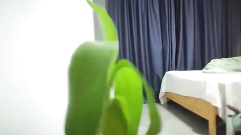 漂亮大奶小姐姐 一夜情聊什么感情 你要观战吗 看也要给钱 你体力不行啊 性格开朗爱笑 吐槽小哥不够猛