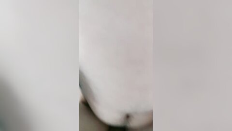 黑丝极品御姐的诱惑，全程露脸大秀直播伺候小哥啪啪，活好不粘人，深喉大鸡巴舔蛋蛋舔菊花好骚，草的水泛滥