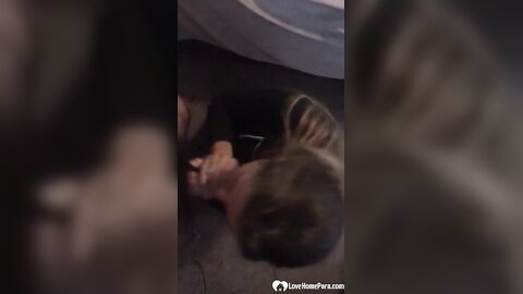Girl Wanted Me To Plough Her Pussy Harder Than Ever
