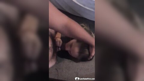 Girl Wanted Me To Plough Her Pussy Harder Than Ever