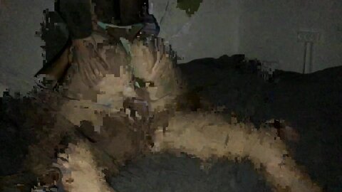 It Seems My Wife Had An Erotic Dream