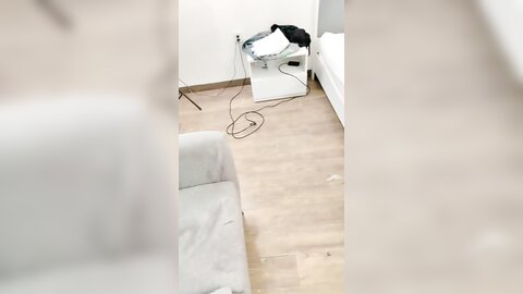 一起玩 20240624 151704 225